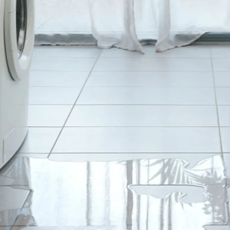Appliance Leak Cleanup in Country Club, FL