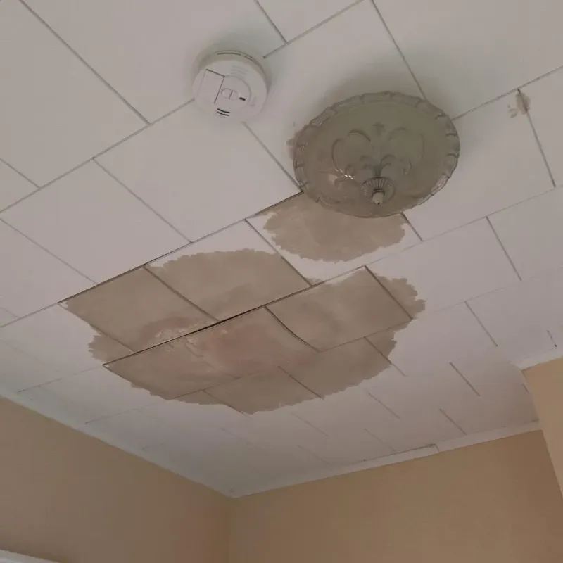 Ceiling Water Damage Repair in Country Club, FL