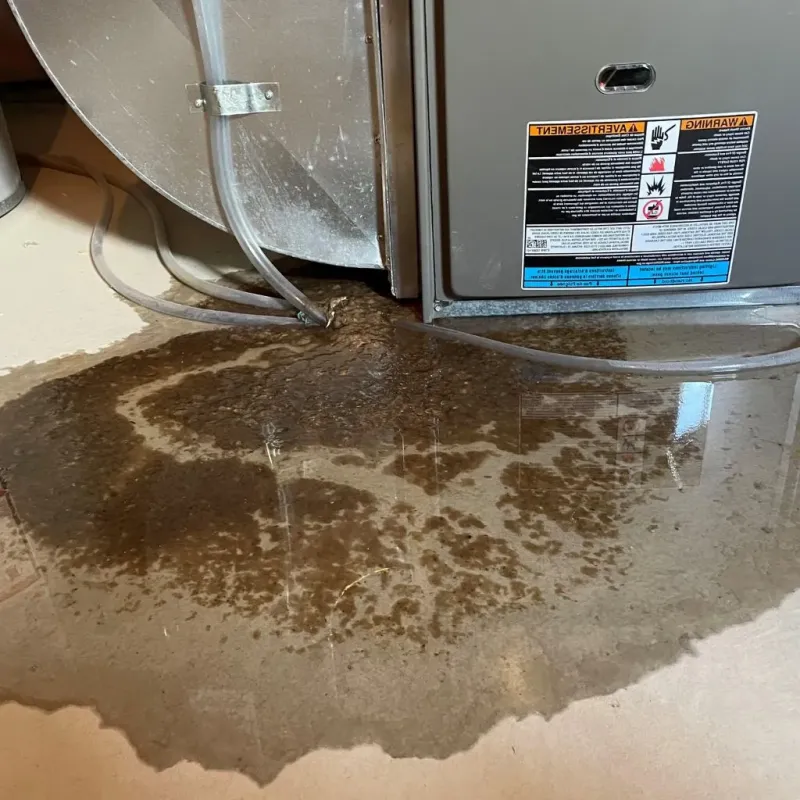 Pipe Burst and Leak Restoration in Country Club, FL
