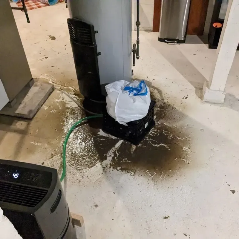 Sewage Backup Cleanup Service in Country Club, FL